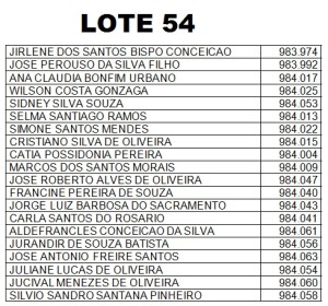 LOTE 54