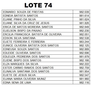 LOTE 74